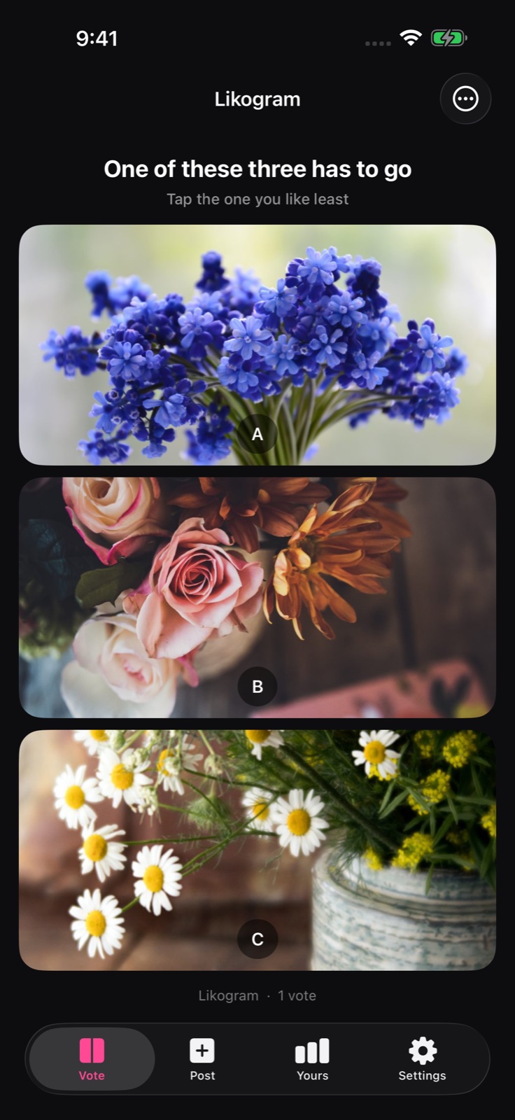 The Vote tab showing an elimination matchup with three photos.